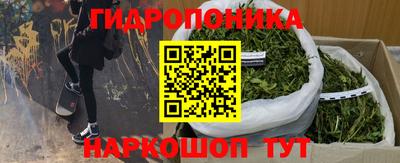 дживик Гусь-Хрустальный