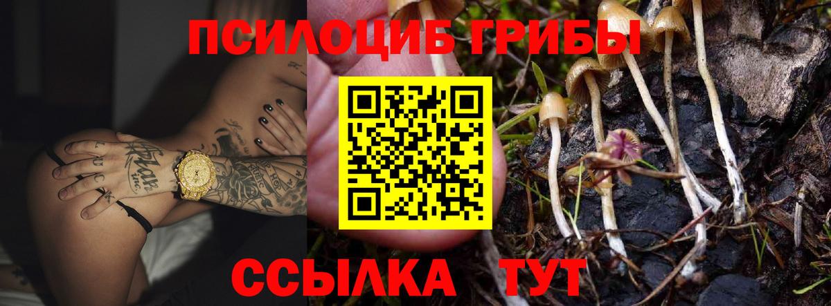 Псилоцибиновые грибы Magic Shrooms  Вход с VPN  Псилоцибиновые грибы Psilocybe  цены   Камышлов 