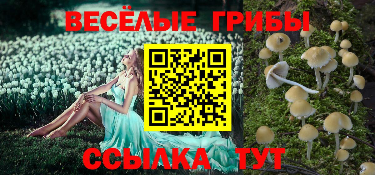 Псилоцибиновые грибы Magic Shrooms Камышлов